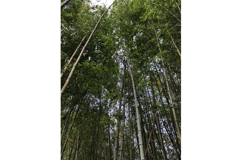箱根の空