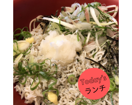 しらすぶっかけ薬味そば