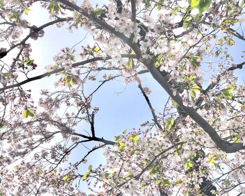 B19A7141-8B87-4DDC-B909-57F1A0188AC7