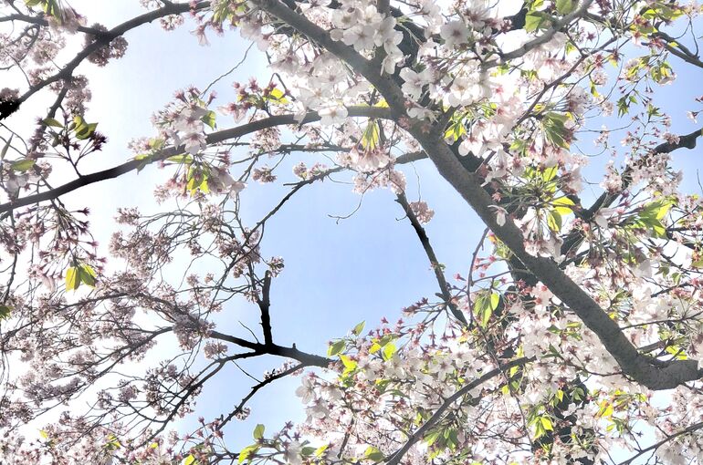 B19A7141-8B87-4DDC-B909-57F1A0188AC7