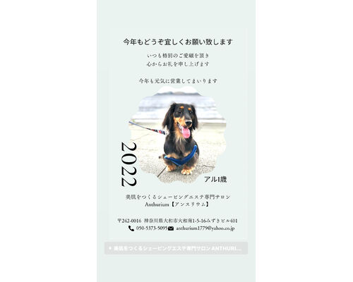 犬の写真入り年賀状
